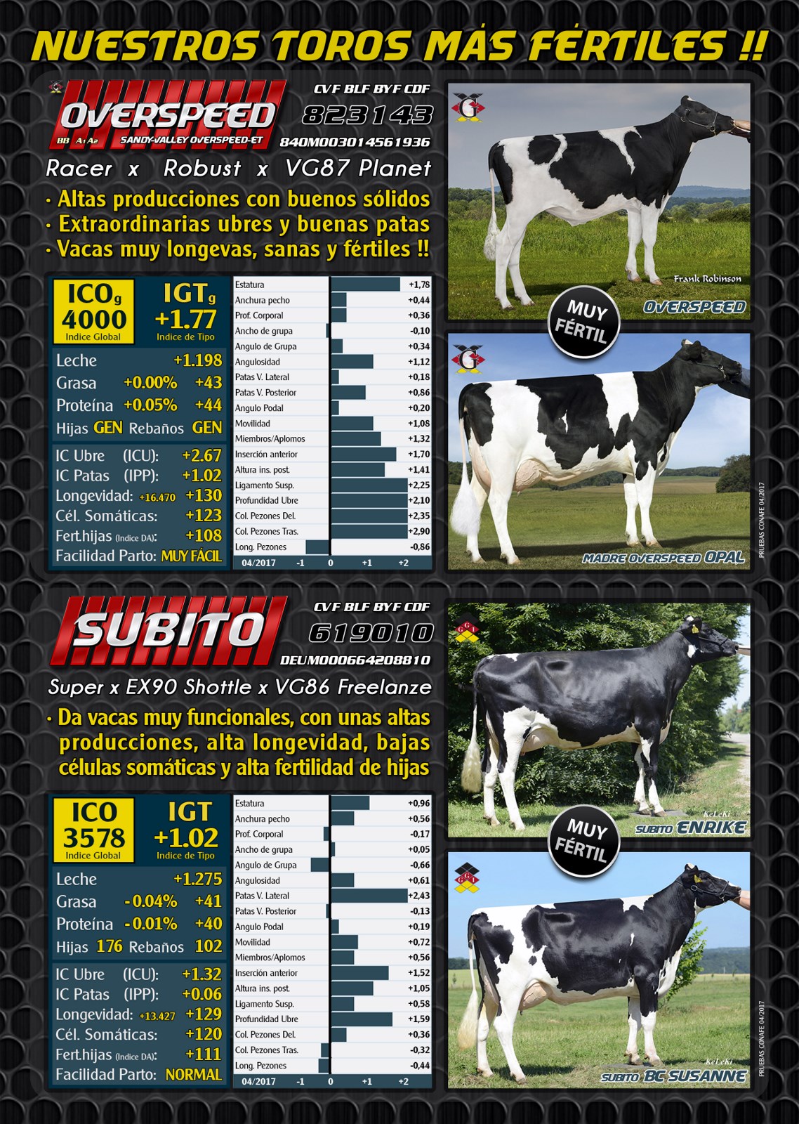 BAS SL · Genética alemana | Semen alemán| Ofertas especiales Toros ...